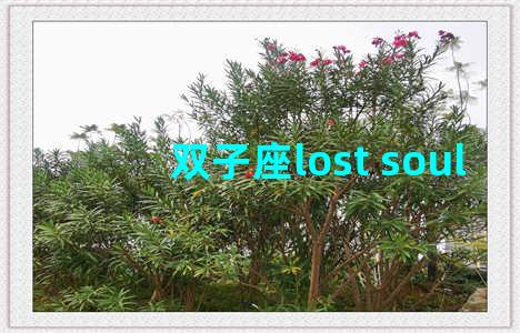 双子座lost soul